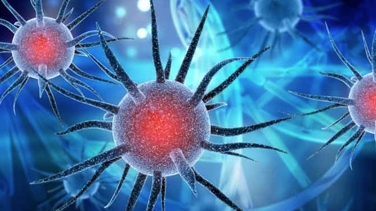 Foto - Bu uyarılara aman dikkat: İdrar yolu enfeksiyonuna çözümler... Mikroptan eser kalmıyor