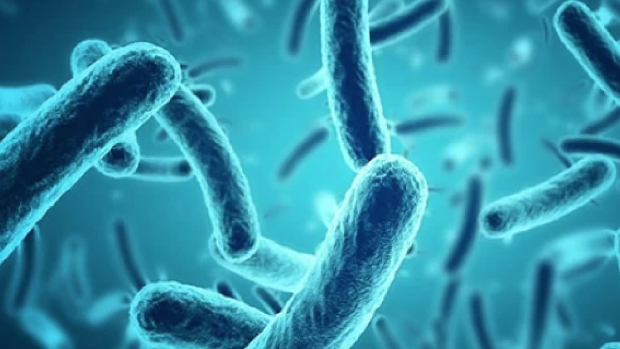 Foto - Bu uyarılara aman dikkat: İdrar yolu enfeksiyonuna çözümler... Mikroptan eser kalmıyor