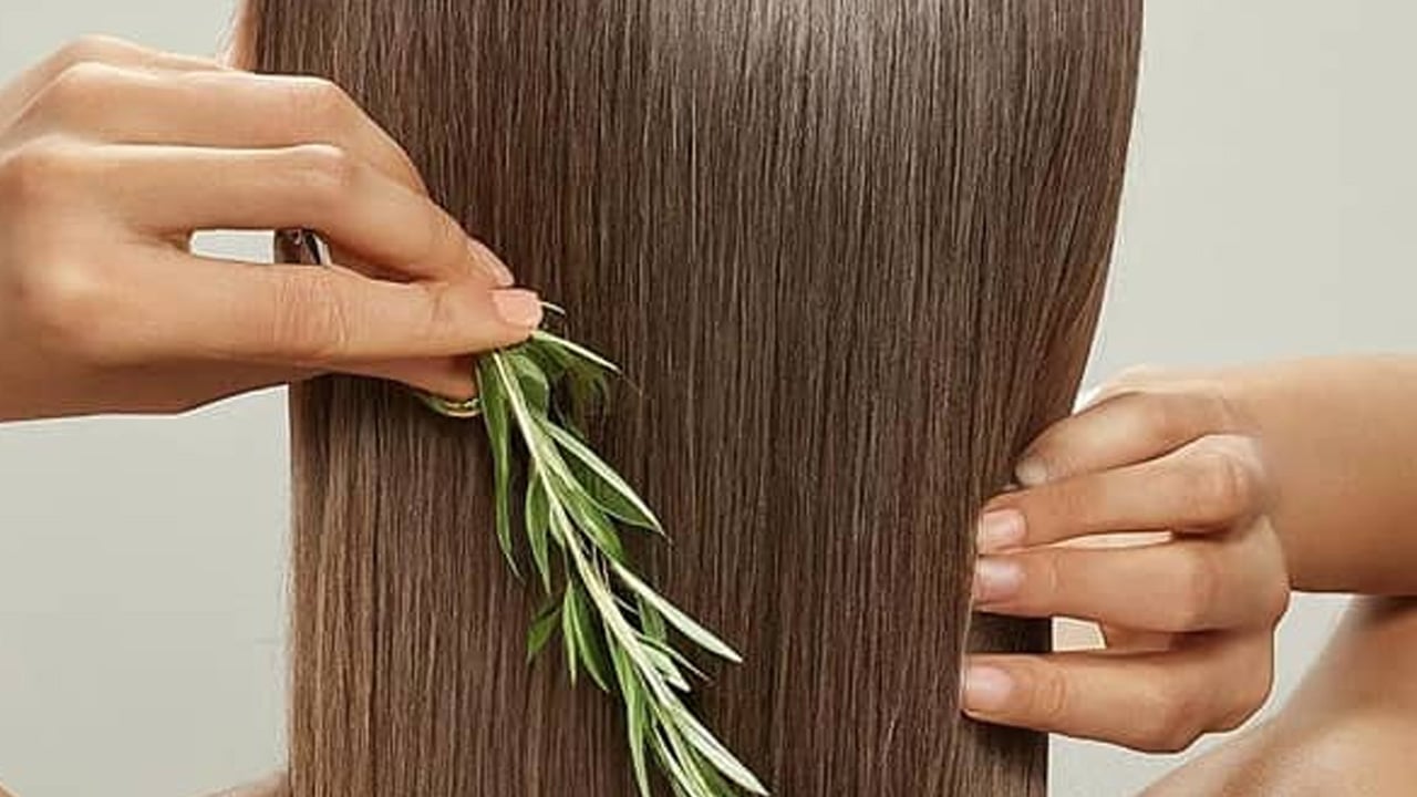 Foto - Bu yağ saçları güçlendirip dökülmesini engelliyor: Resmen Rapunzel gibi güçlü ve upuzun oluyor! Duyan satın alıyor