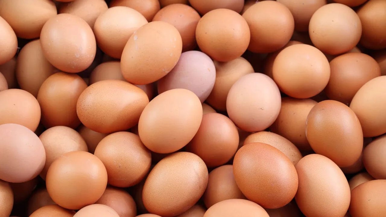 Foto - Bu yöntemi duyan şaşırıp kalıyor! Yumurta buzlukta saklanır mı?