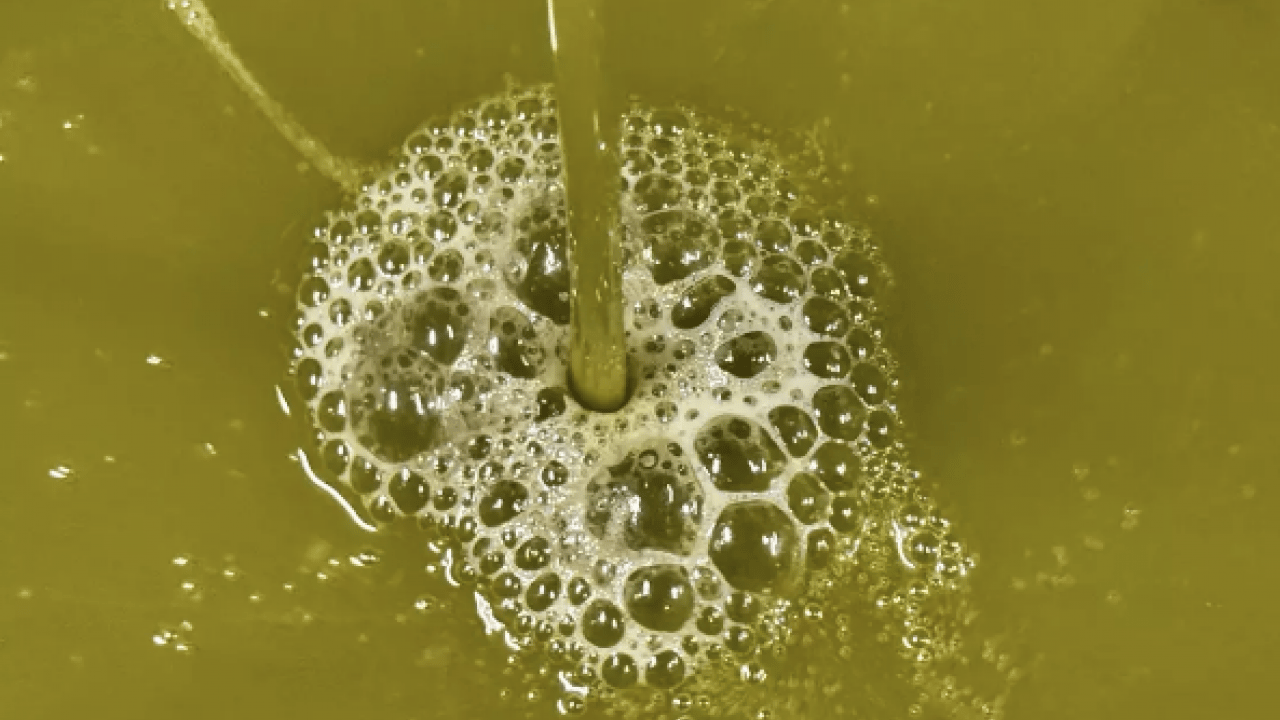 Foto - Bu yöntemi duyunca çok şaşıracaksınız: Kutu kutu kolajene bedel: Limon sıkıp için ve etkisine bakın...