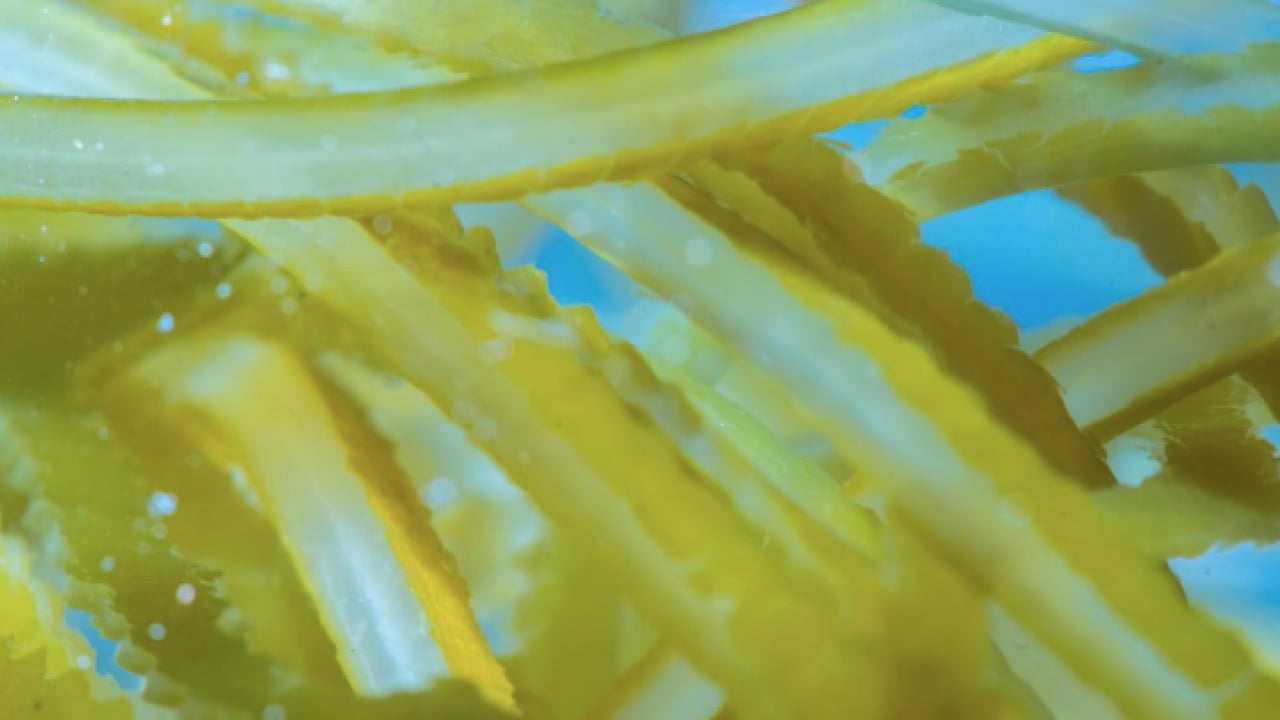 Foto - Bu yöntemi keşfetmediniz mi? Bahar aylarının C vitamini deposu! Evde limon kabuğunu böyle deneyin