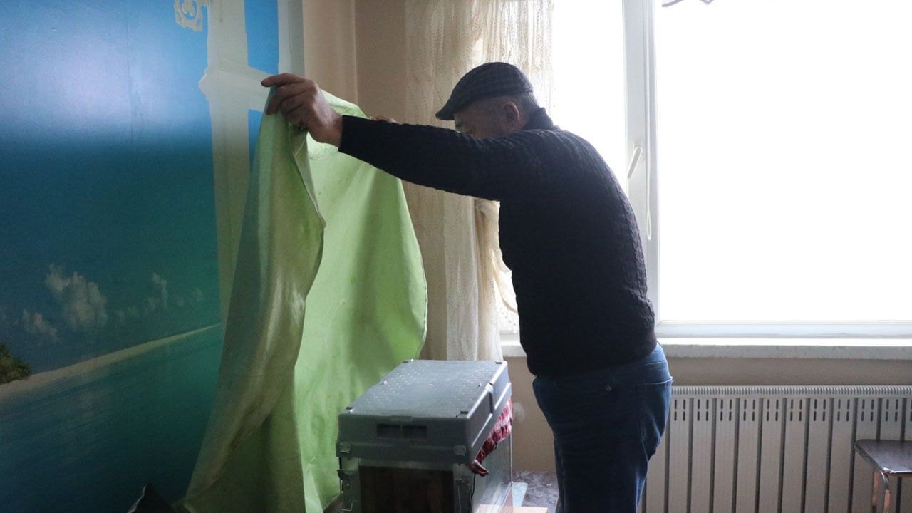 Foto - Bu yöntemle dünyaya açıldı! Daha önce kimse böyle arıcılık görmedi