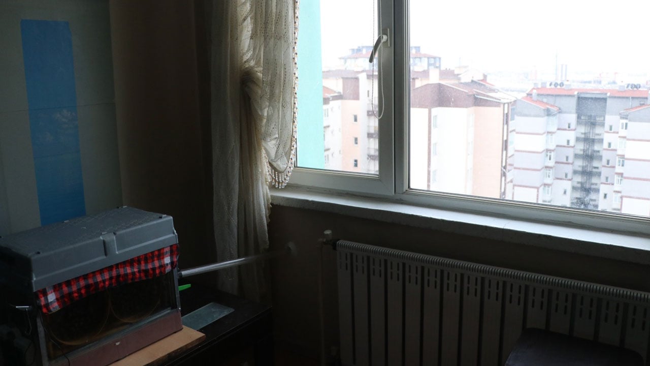 Foto - Bu yöntemle dünyaya açıldı! Daha önce kimse böyle arıcılık görmedi