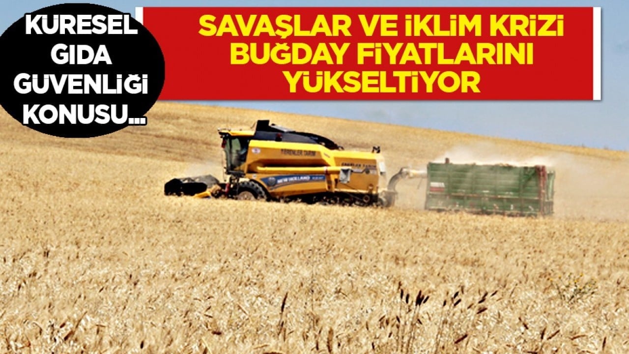 Buğday ambarda kaldı: İran ve Rusya - Ukrayna savaşları, iklim krizi fiyatları yükseltiyor! 