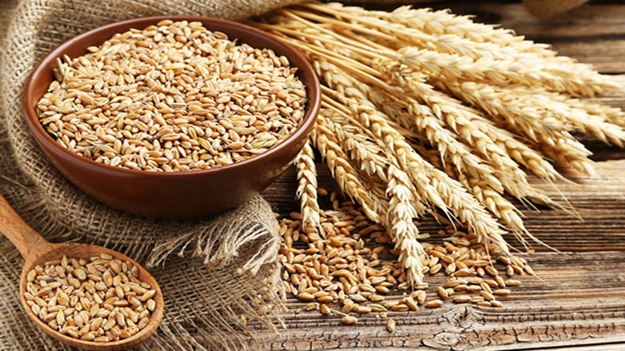 Buğday ve arpa aynı şey mi? Arpanın faydaları nelerdir, neye iyi gidiyor? Sipariş patlaması yaşanıyor