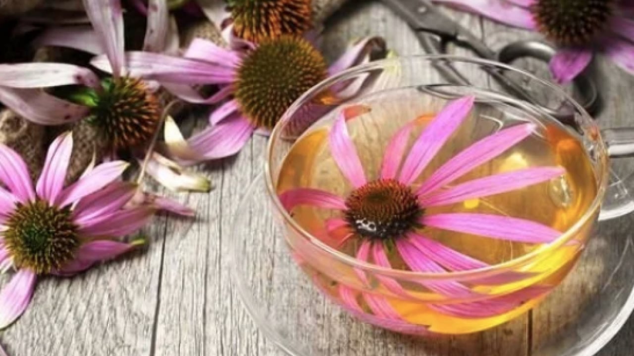 Bugün mutlaka içmeyi unutmayın... Bağışıklığı güçlendiriyor! Kar kış bunu tüketene uğramıyor