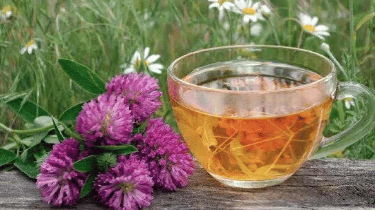 Foto - Bugün mutlaka içmeyi unutmayın... Bağışıklığı güçlendiriyor! Kar kış bunu tüketene uğramıyor