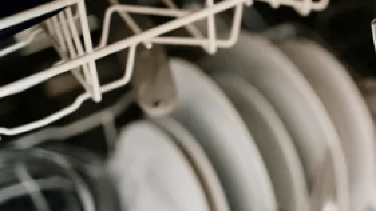 Foto - Bulaşık makinesindeki kireci söküp atıyor! 1 kaşık dökmeniz yeterli... Bu basit yöntem ne?