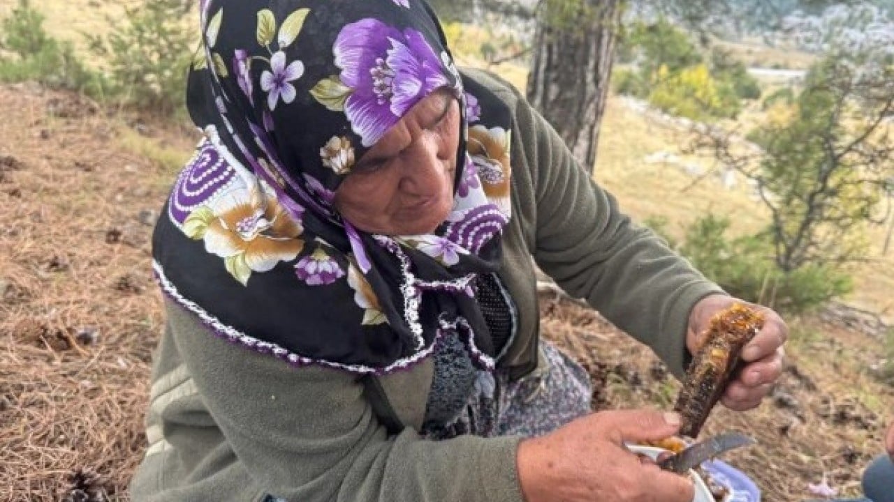 Foto - Bulmak için dağ taş geziyor! Kilosunun fiyatı dudak uçuklatıyor