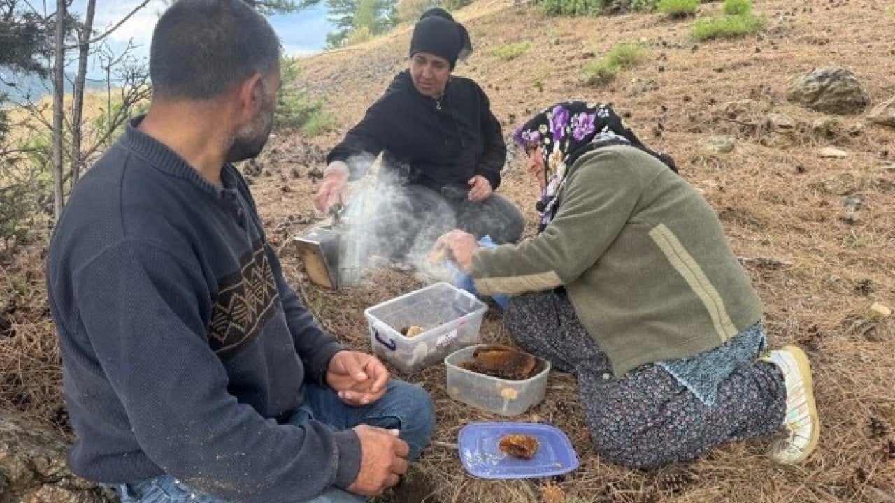 Foto - Bulmak için dağ taş geziyor! Kilosunun fiyatı dudak uçuklatıyor