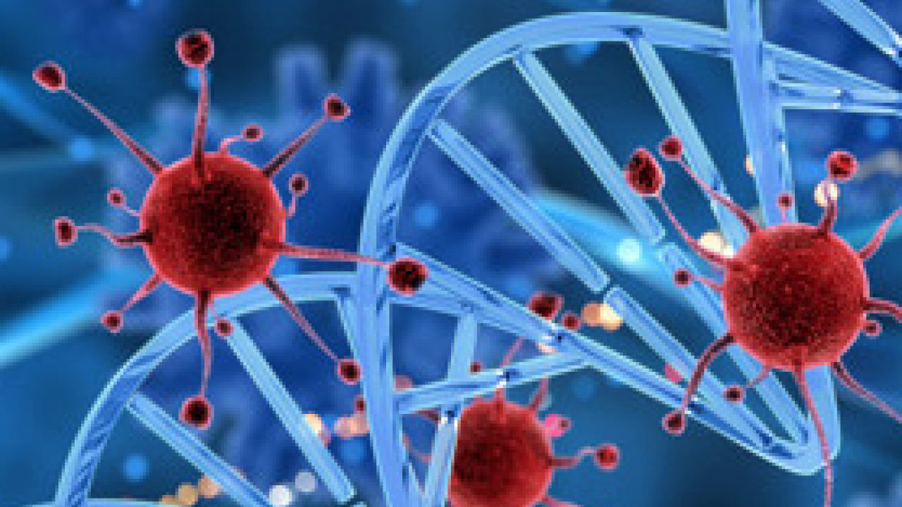 Foto - Bunları yapanlara kötü haber geldi: Kolon kanserinde erken tanı hayat kurtarıyor