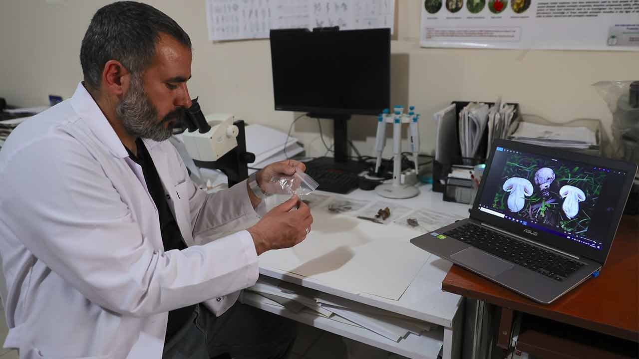 Foto - Bunları yemeyi aklınızdan bile geçirmeyin