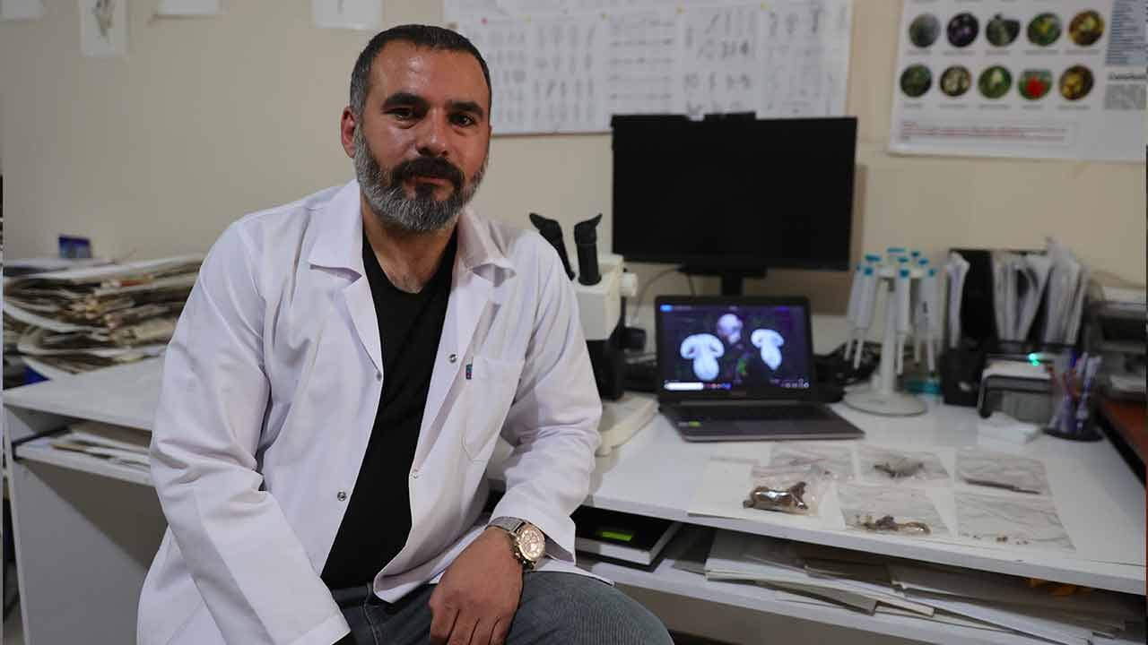 Foto - Bunları yemeyi aklınızdan bile geçirmeyin