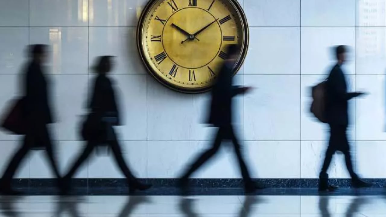 Foto - Bu işi yapmak için para alıyorlar: İşte Türkiye'nin en ilginç meslekleri...