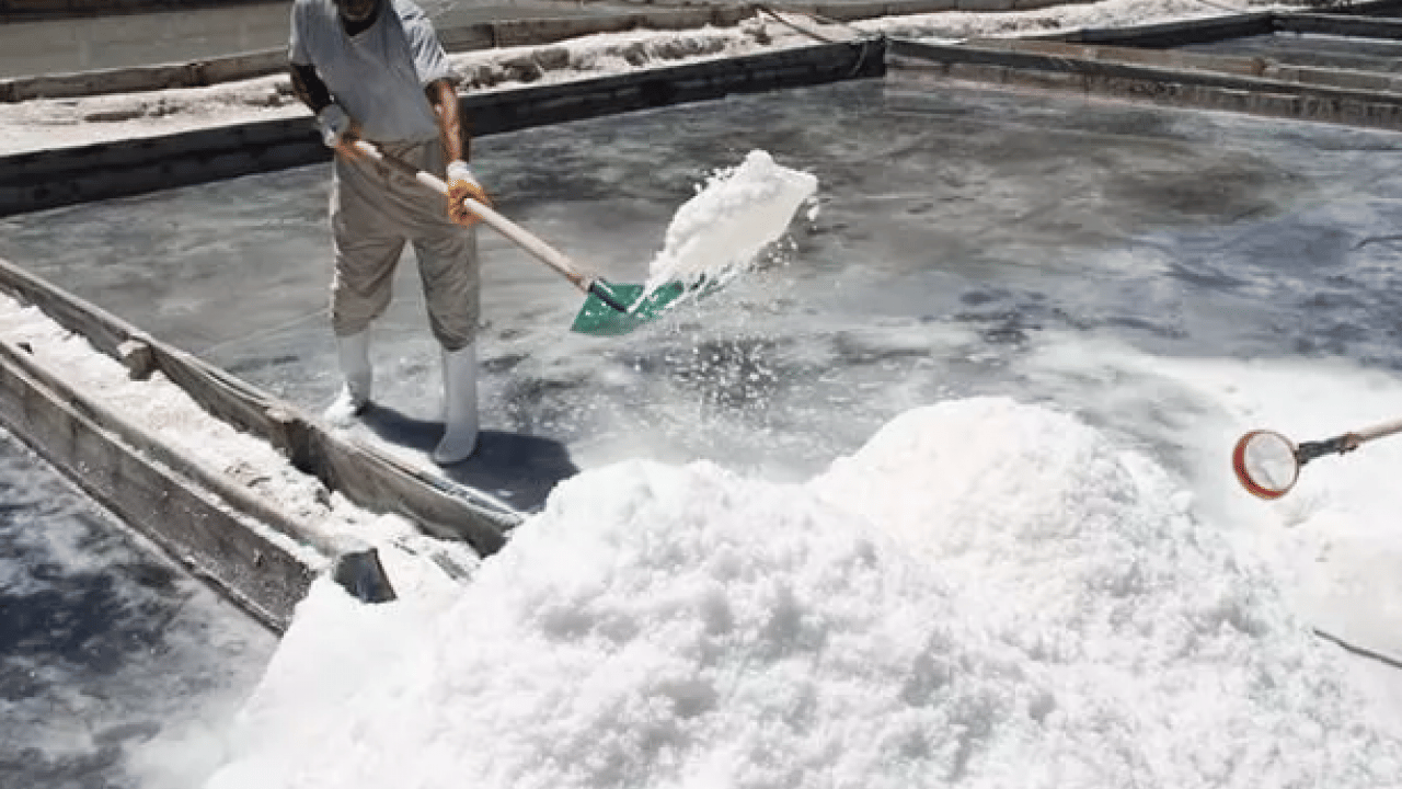 Foto - Bu işi yapmak için para alıyorlar: İşte Türkiye'nin en ilginç meslekleri...