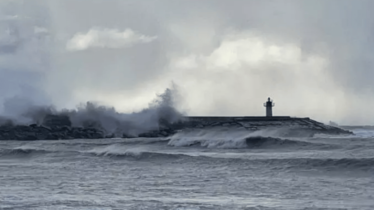 Foto - Bu işi yapmak için para alıyorlar: İşte Türkiye'nin en ilginç meslekleri...