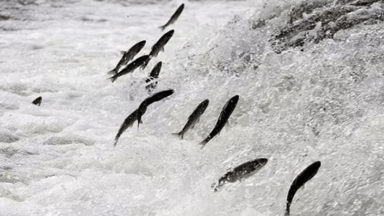 Foto - Bu işi yapmak için para alıyorlar: İşte Türkiye'nin en ilginç meslekleri...