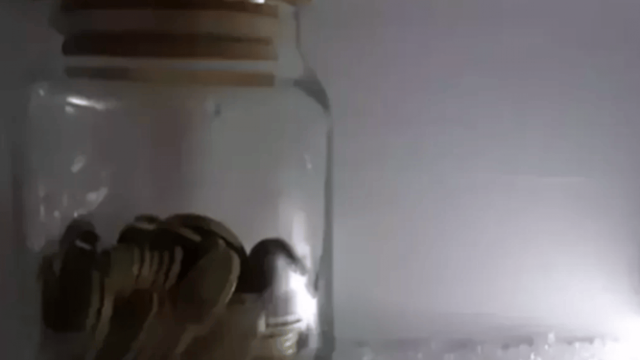 Foto - Bunu kimse bilmiyor: Buzdolabına 1 TL koyunca bakın ne oluyor!