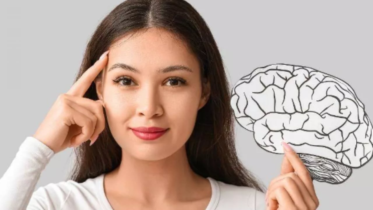 Foto - Fil gibi hafızaya sahip olabilirsiniz! Bunu mutlaka yapın!