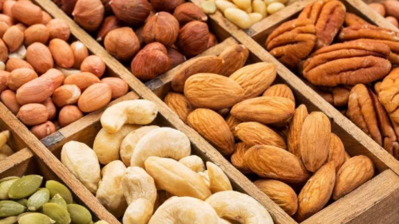 Foto - Fil gibi hafızaya sahip olabilirsiniz! Bunu mutlaka yapın!