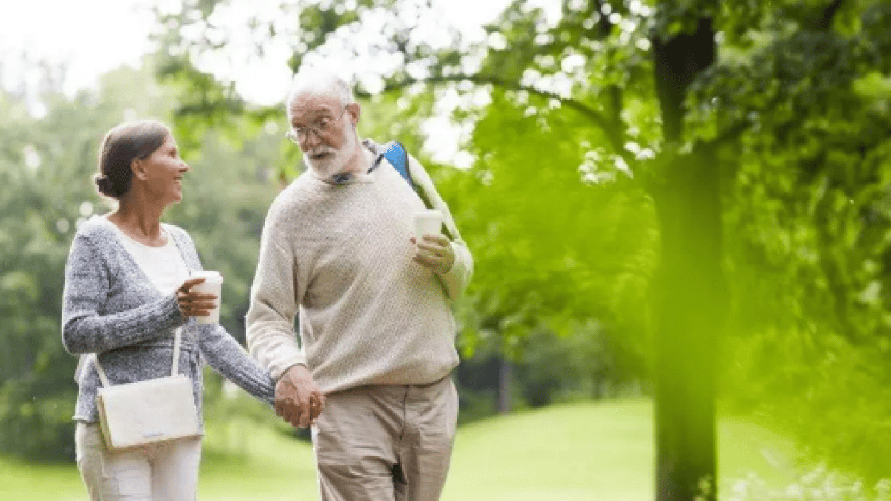 Foto - Fil gibi hafızaya sahip olabilirsiniz! Bunu mutlaka yapın!