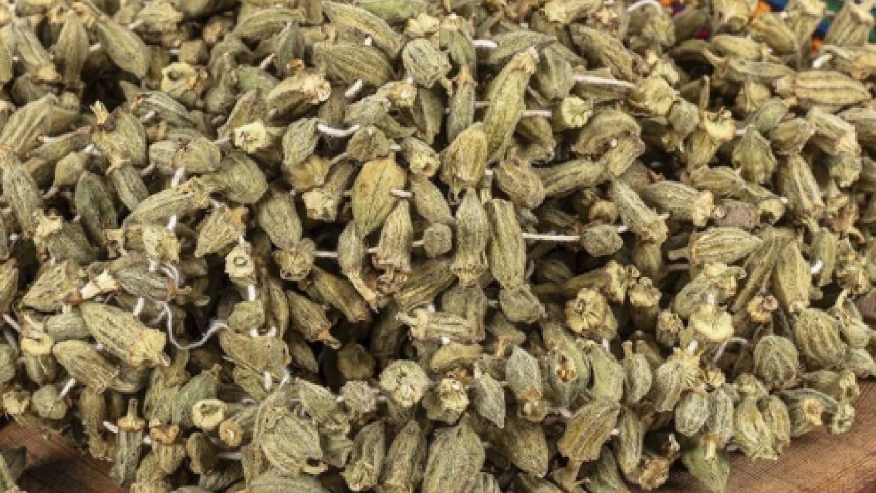 Foto - Bunu yiyende eklem ağrısı kalmıyor! Kilosu 200 TL'den satılıyor!