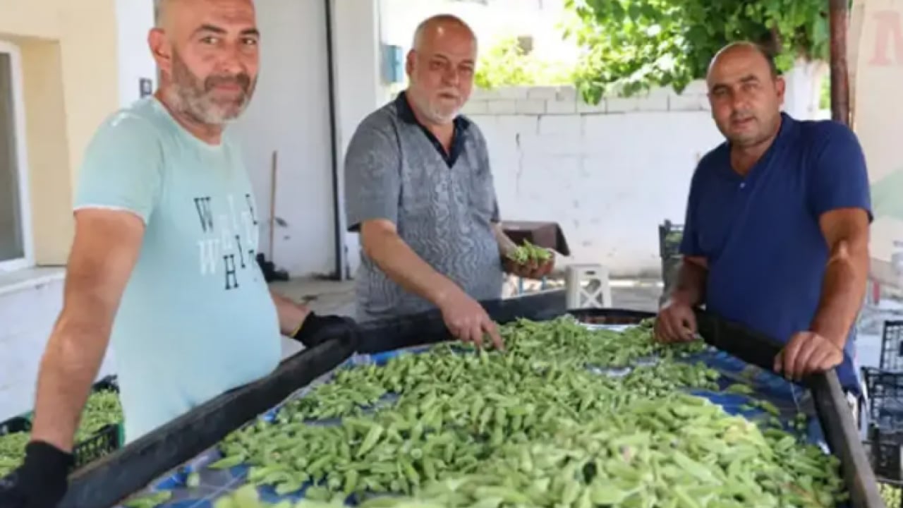 Bunu yiyende eklem ağrısı kalmıyor! Kilosu 200 TL'den satılıyor!