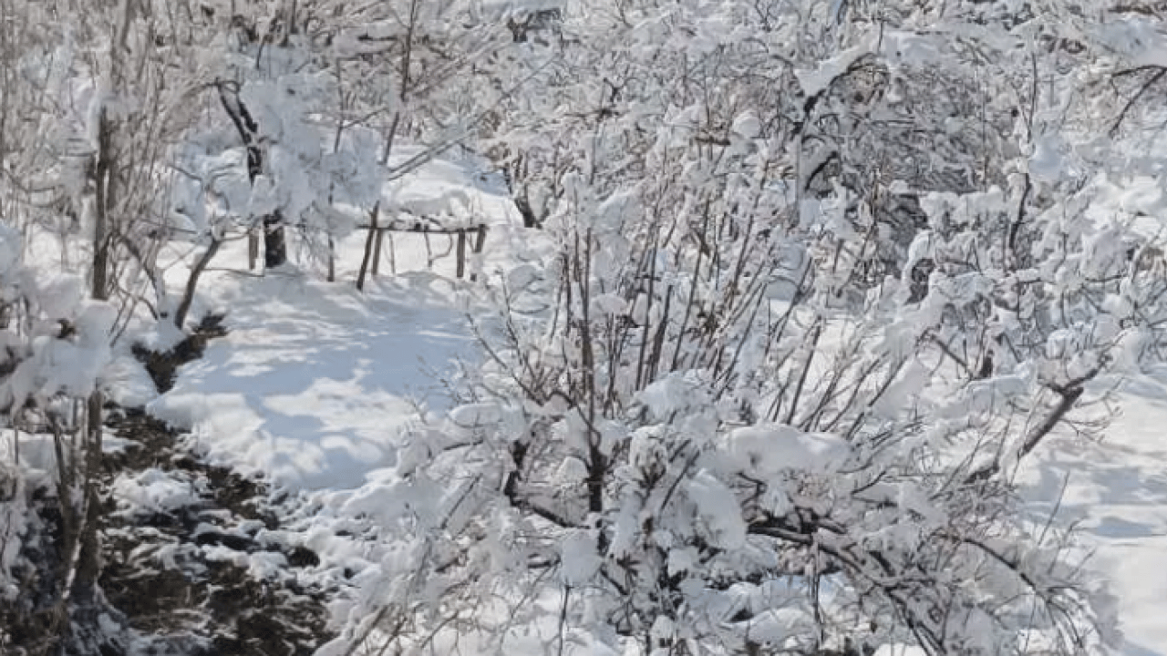 Foto - Burası Rusya değil Türkiye: Evler kar altında kaldı!