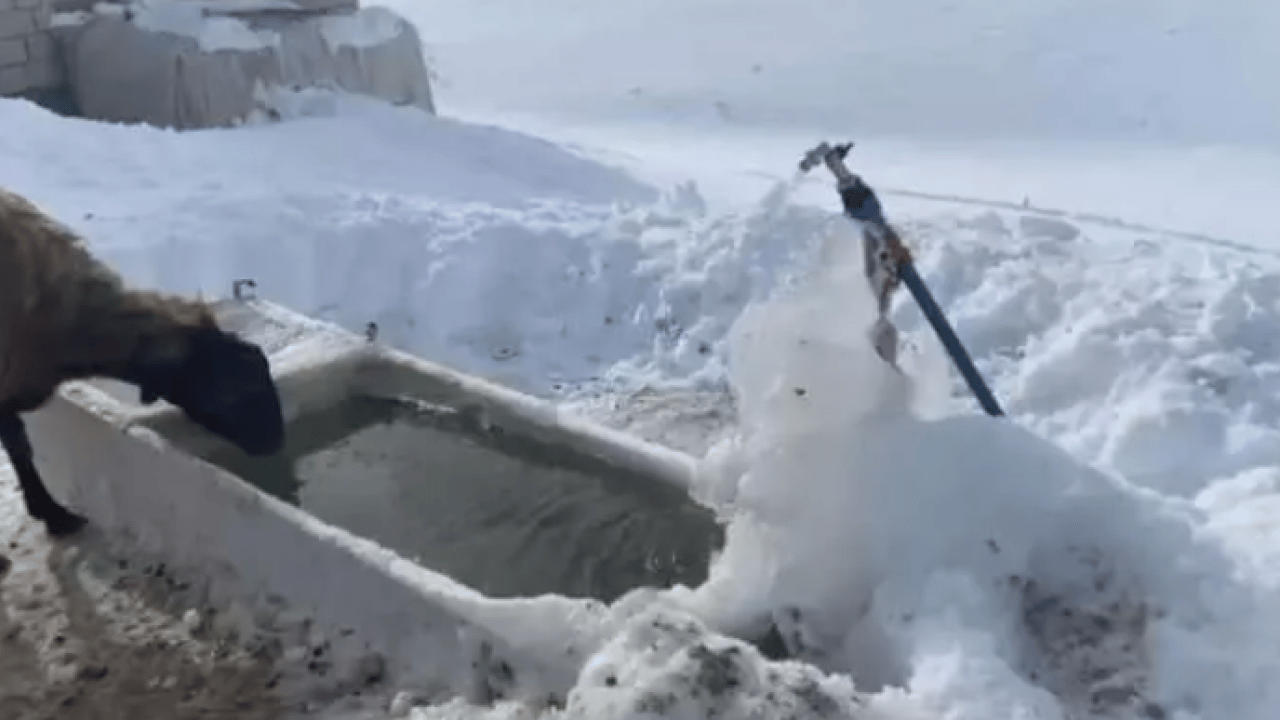 Foto - Burası Rusya değil Türkiye: Evler kar altında kaldı!