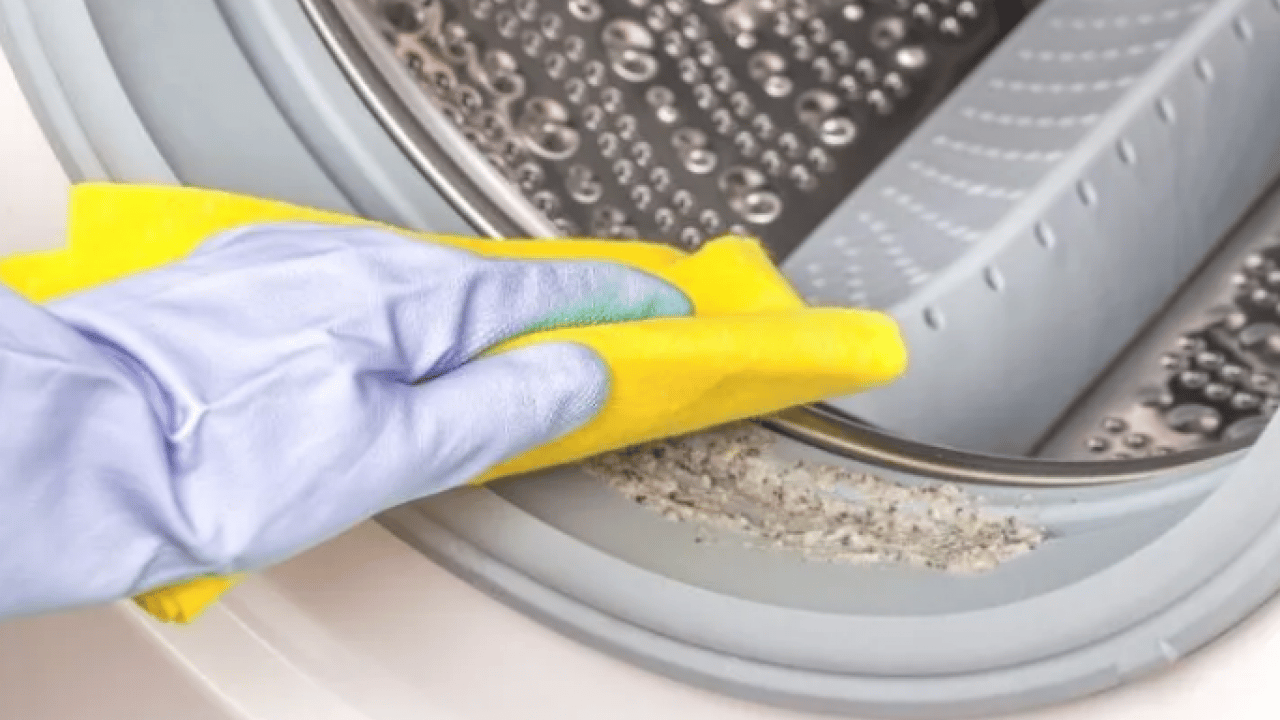 Foto - Burayı temizlemeyen yandı: Kıyafetlere bakteri bulaşıyor!