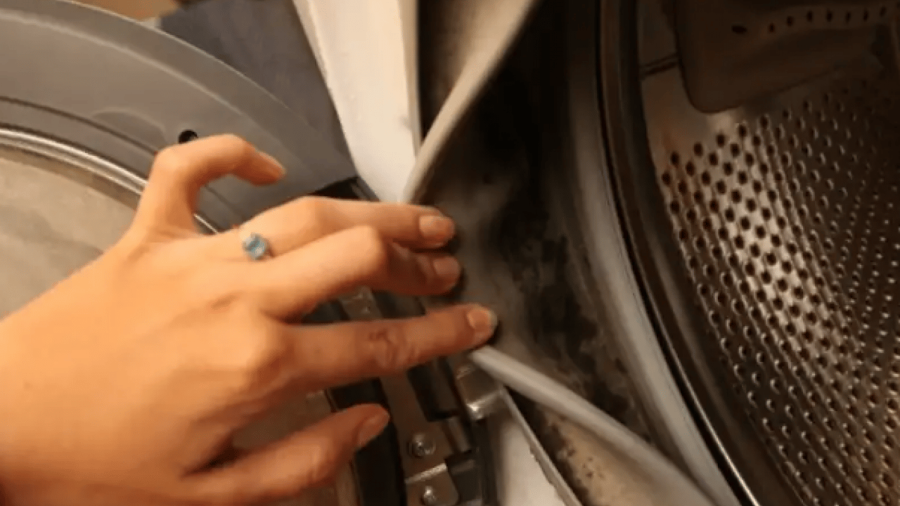 Foto - Burayı temizlemeyen yandı: Kıyafetlere bakteri bulaşıyor!