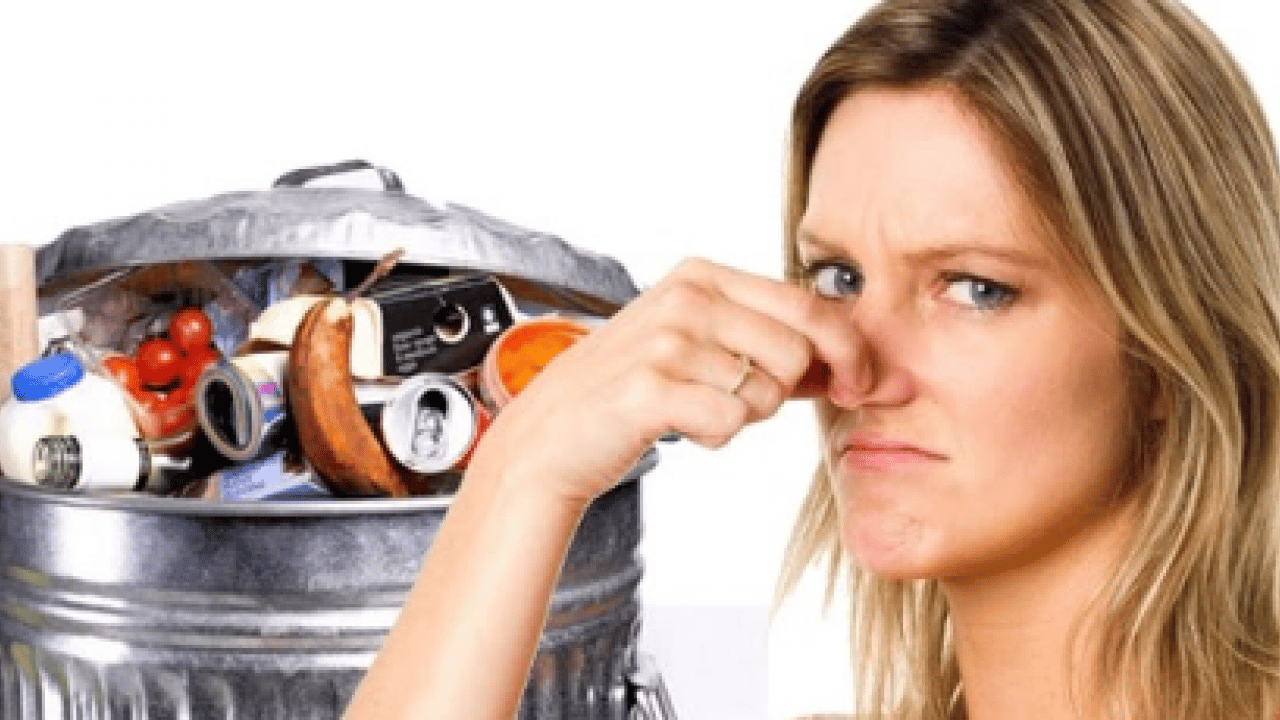 Foto - Burnunuzun ucundaki cellat: Koku kirliliği ömrü kısaltıyor