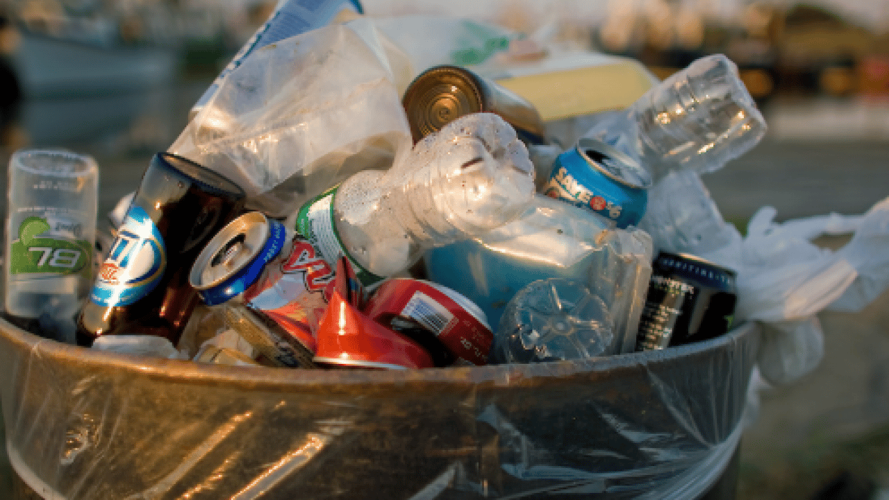 Foto - Burnunuzun ucundaki cellat: Koku kirliliği ömrü kısaltıyor