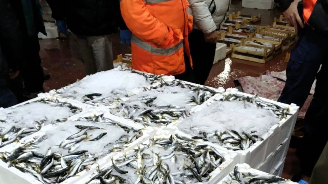 Bursa Balık Hali’nde şafak operasyonu! 615 kilo istavrite el konuldu