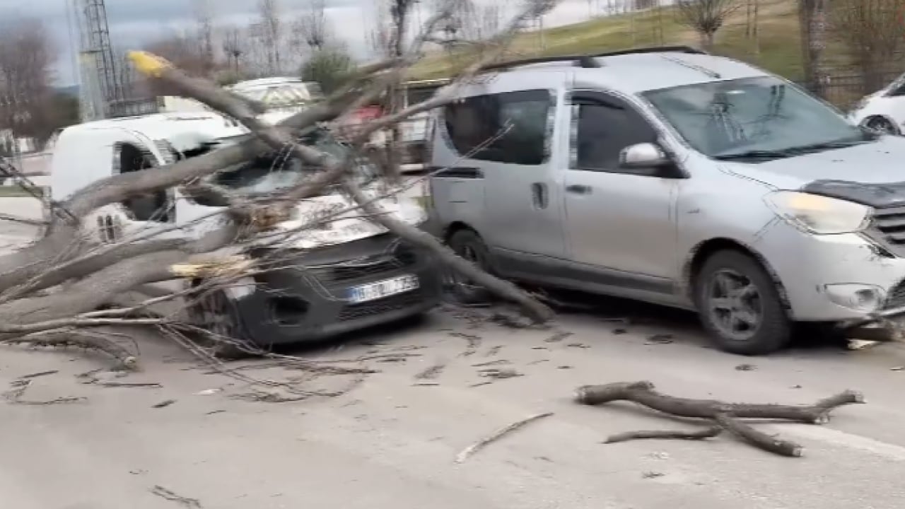 Foto - Bursa fırtınaya teslim: Ağaçlar devrildi, vatandaşlar yürümekte güçlük çekti