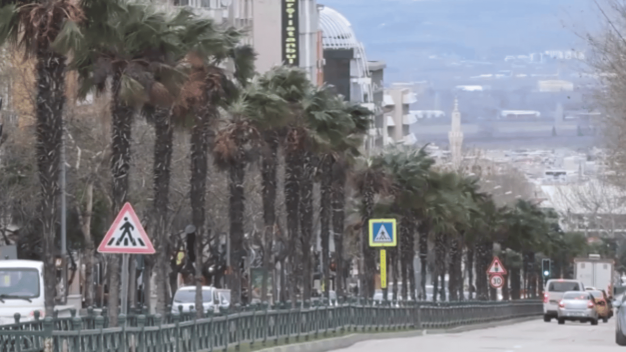 Foto - Bursa fırtınaya teslim: Ağaçlar devrildi, vatandaşlar yürümekte güçlük çekti