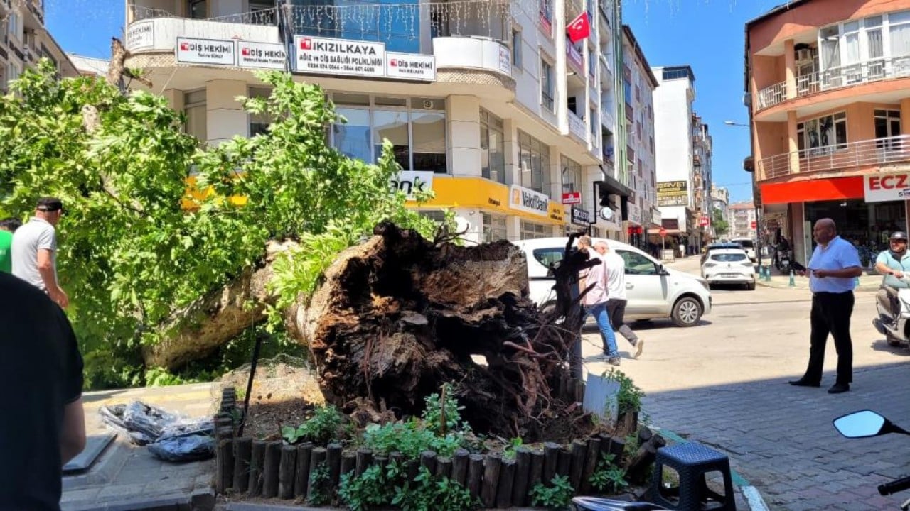 Foto - Bursa'da faciadan dönüldü Asırlık çınar zamana daha fazla direnemedi