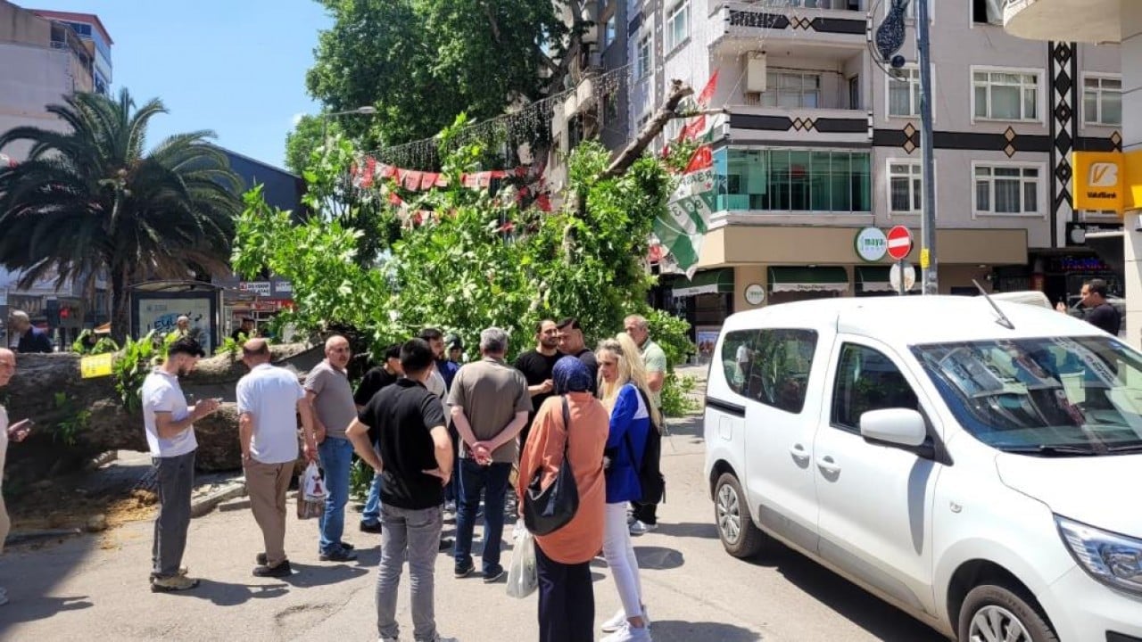Foto - Bursa'da faciadan dönüldü Asırlık çınar zamana daha fazla direnemedi
