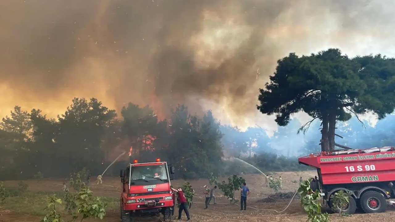 Foto - Bursa'dan yürek ferahlatan haber