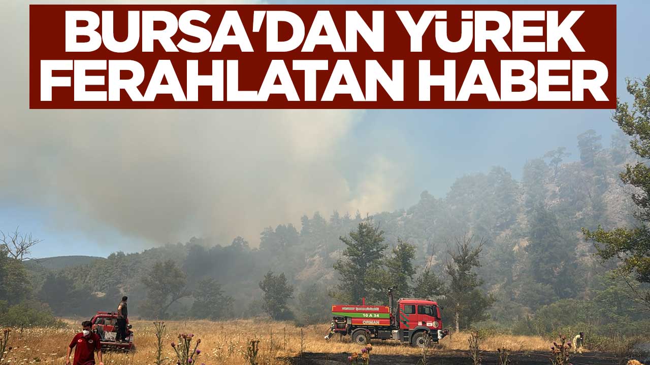 Bursa'dan yürek ferahlatan haber