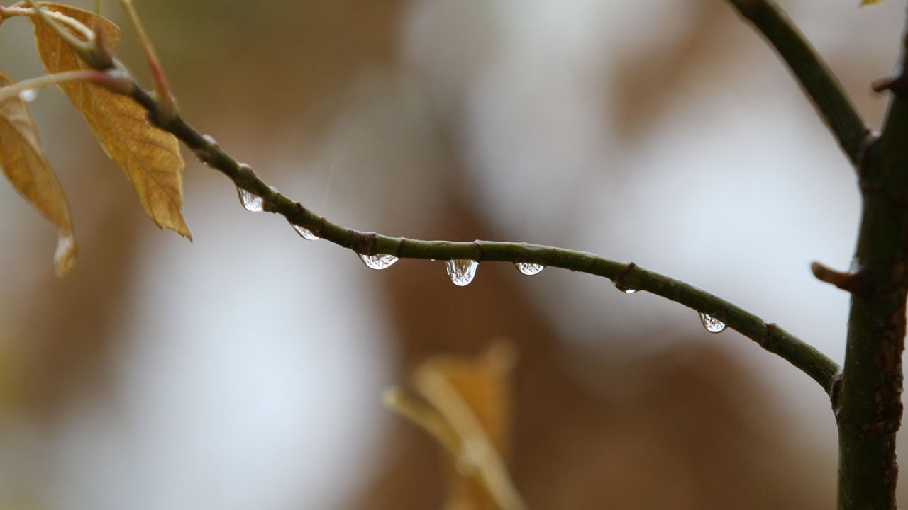 Foto - Bursa’ya bereket yağdı! Barajlar doldu, toprak suya kavuştu
