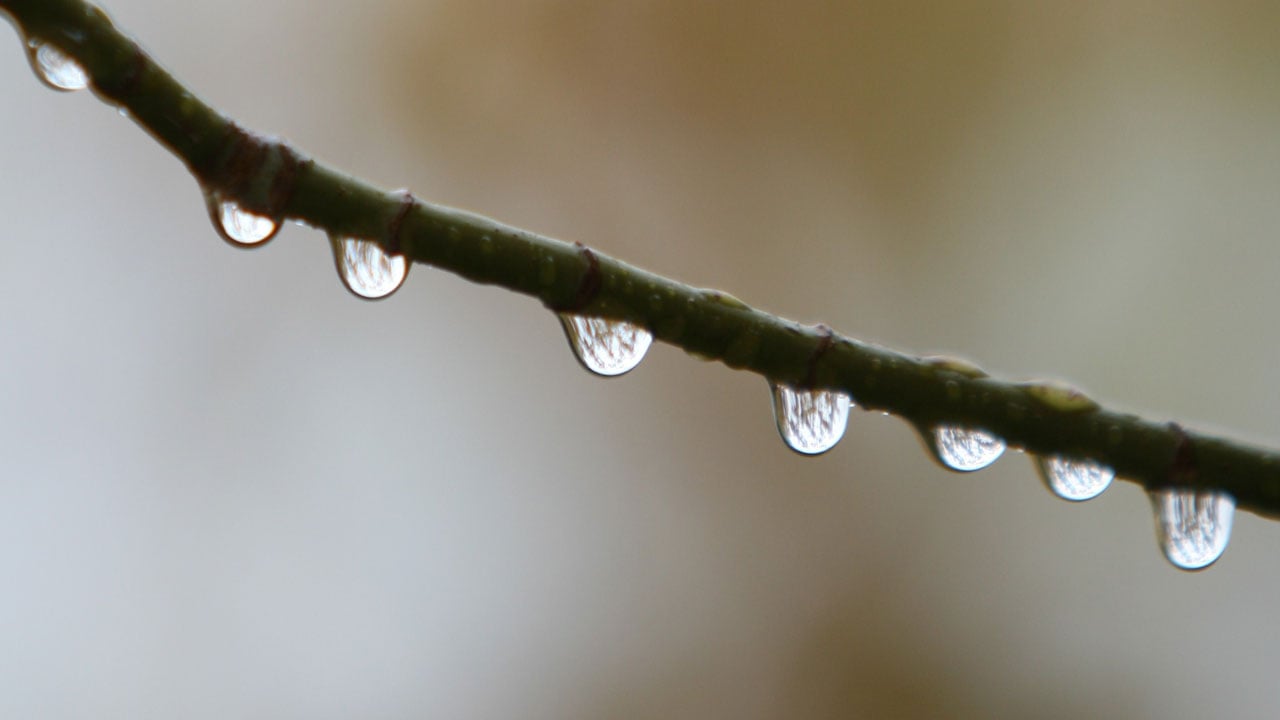 Foto - Bursa’ya bereket yağdı! Barajlar doldu, toprak suya kavuştu