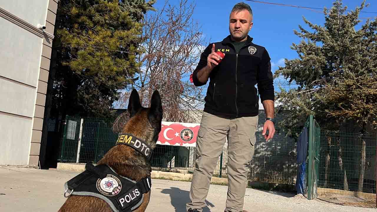 Foto - Burunlarıyla zulayı patlatıyorlar: Uyuşturucu tacirlerinin korkulu rüyası