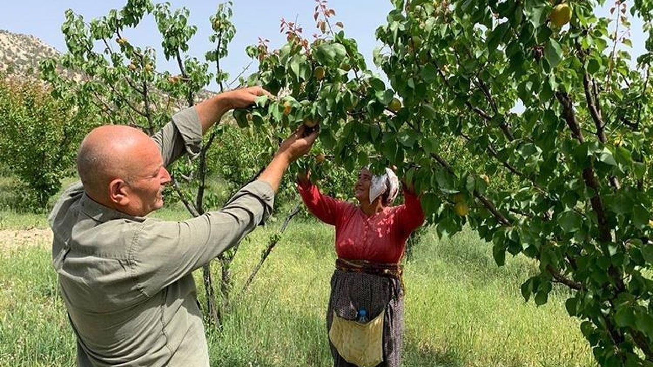 Bütün dünya "Ne olur bize de verin" diyerek sıraya girdi! Türkiye o üründe Avrupa ve Rusya pazarını fethetti