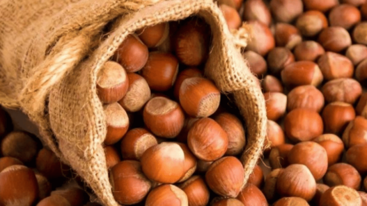 Foto - Bütün dünya sıraya girdi: 87 ülkeye 389 milyon dolarlık dev ihracat!