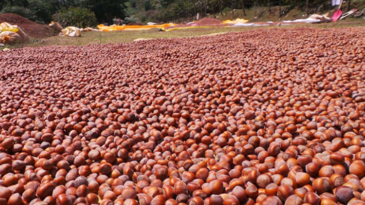 Foto - Bütün dünya sıraya girdi: 87 ülkeye 389 milyon dolarlık dev ihracat!