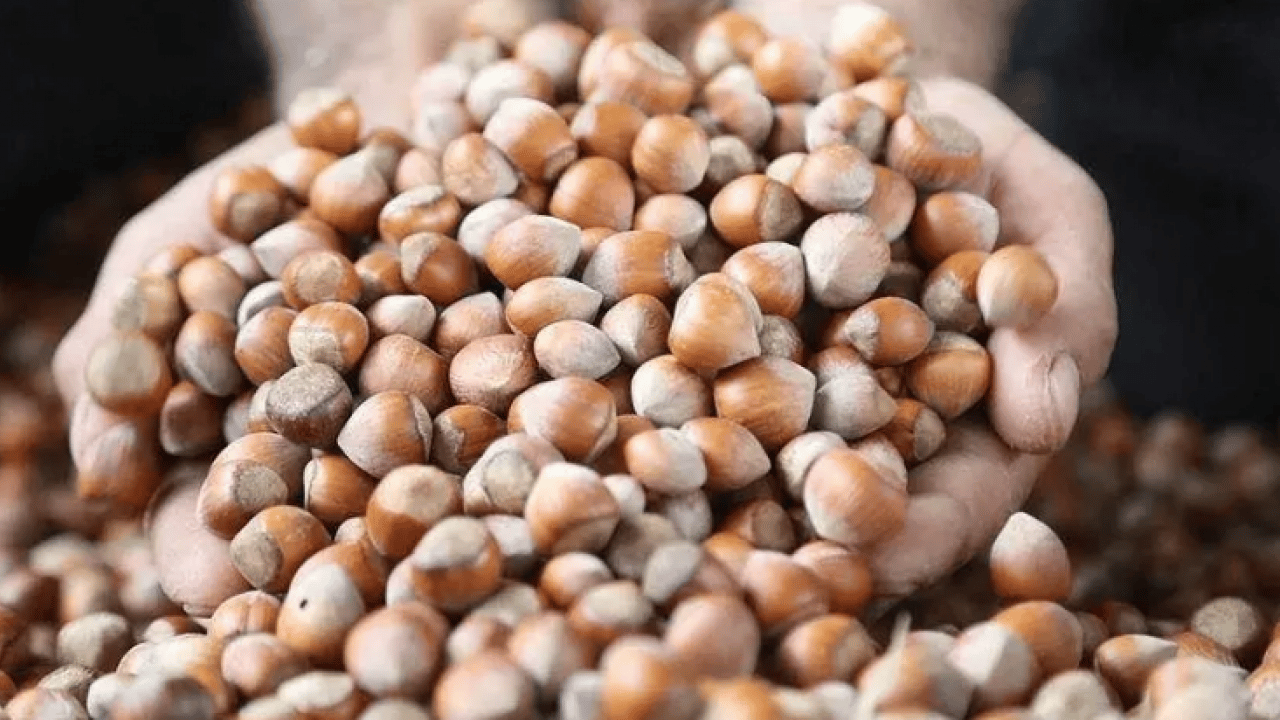 Foto - Bütün dünya sıraya girdi: 87 ülkeye 389 milyon dolarlık dev ihracat!