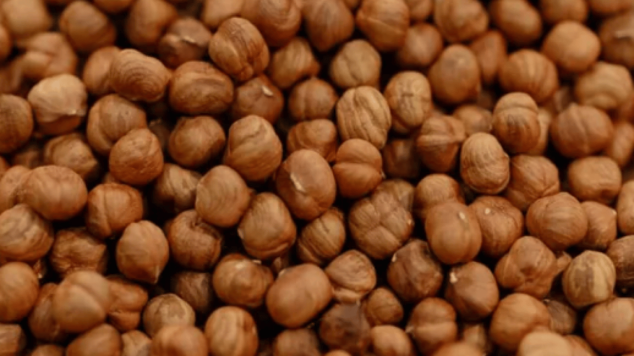 Foto - Bütün dünya sıraya girdi: 87 ülkeye 389 milyon dolarlık dev ihracat!