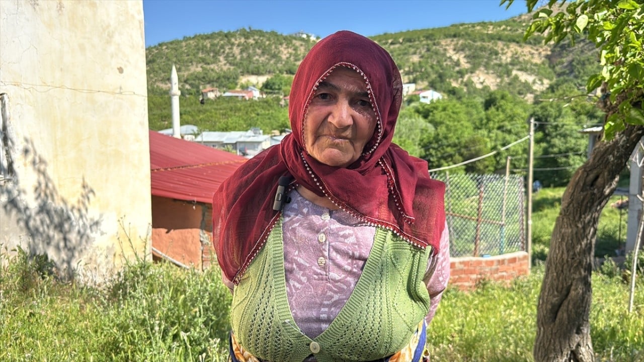 Foto - Bütün köy halkı Sultan ninenin koçunun peşinde